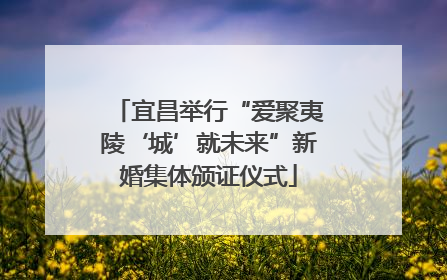 宜昌举行“爱聚夷陵‘城’就未来”新婚集体颁证仪式