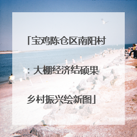 宝鸡陈仓区南阳村：大棚经济结硕果 乡村振兴绘新图