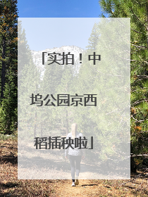 实拍！中坞公园京西稻插秧啦