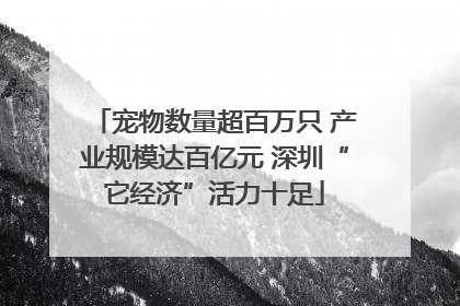 宠物数量超百万只 产业规模达百亿元 深圳“它经济”活力十足