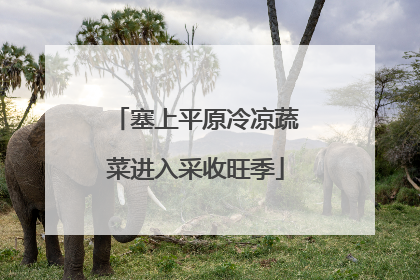 塞上平原冷凉蔬菜进入采收旺季