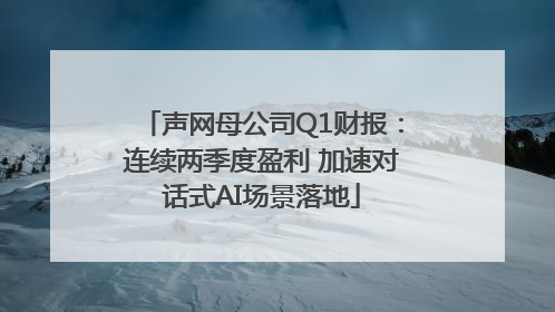 声网母公司Q1财报：连续两季度盈利 加速对话式AI场景落地