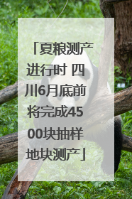 夏粮测产进行时 四川6月底前将完成4500块抽样地块测产