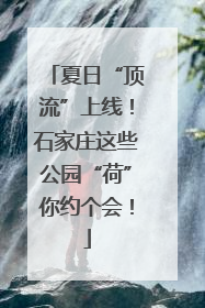 夏日“顶流”上线！石家庄这些公园“荷”你约个会！