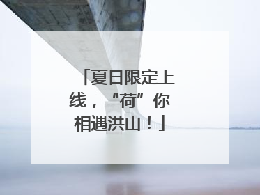夏日限定上线，“荷”你相遇洪山！