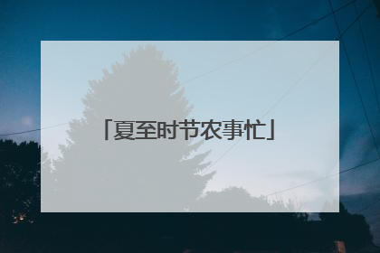 夏至时节农事忙