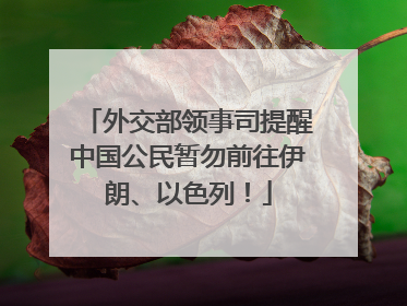 外交部领事司提醒中国公民暂勿前往伊朗、以色列！