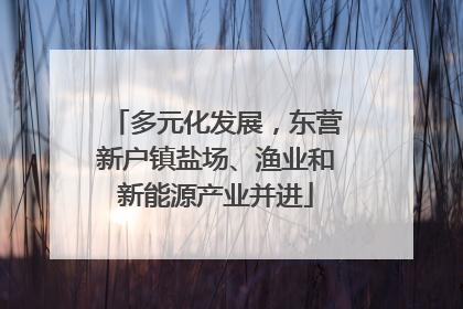 多元化发展，东营新户镇盐场、渔业和新能源产业并进