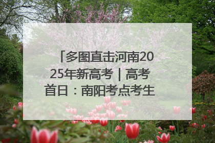 多图直击河南2025年新高考｜高考首日：南阳考点考生信心满满迎战