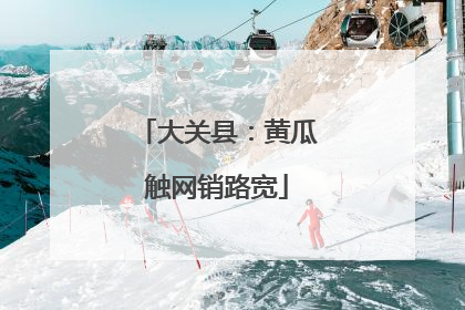 大关县：黄瓜触网销路宽