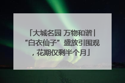 大城名园 万物和谐│“白衣仙子”盛放引围观，花期仅剩半个月