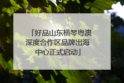 好品山东横琴粤澳深度合作区品牌出海中心正式启动