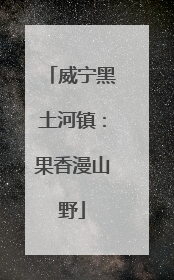 威宁黑土河镇：果香漫山野