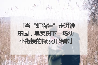 当“虹猫娃”走进淮东园，皂荚树下一场幼小衔接的探索开始啦