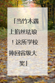 当竹木遇上掐丝珐琅！这所学校捧回省级大奖