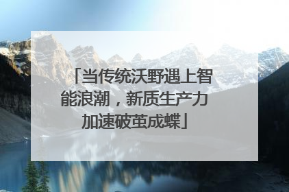 当传统沃野遇上智能浪潮，新质生产力加速破茧成蝶