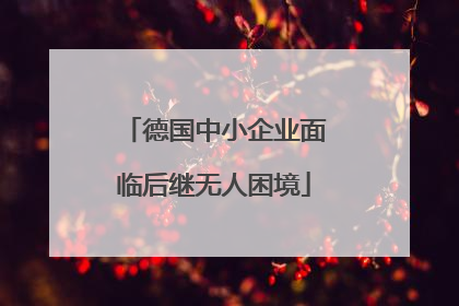 德国中小企业面临后继无人困境