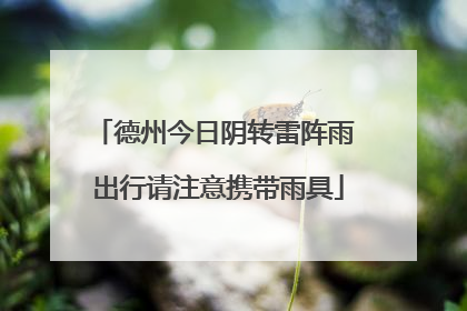 德州今日阴转雷阵雨 出行请注意携带雨具