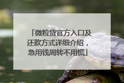 微粒贷官方入口及还款方式详细介绍，急用钱周转不用慌