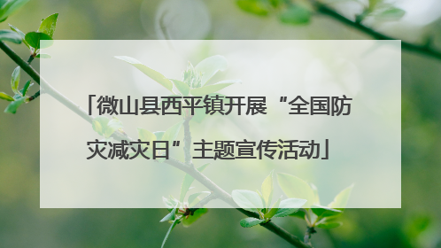 微山县西平镇开展“全国防灾减灾日”主题宣传活动