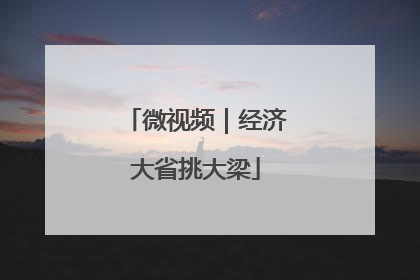 微视频｜经济大省挑大梁