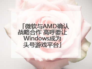 微软与AMD确认战略合作 高呼要让Windows成为头号游戏平台