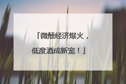 微醺经济爆火，低度酒成新宠！