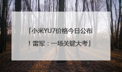 小米YU7价格今日公布！雷军：一场关键大考