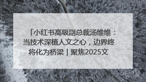 小红书高级副总裁汤维维：当技术深植人文之心，边界终将化为桥梁｜聚焦2025文化强国建设高峰论坛