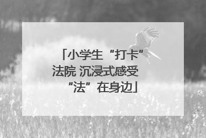 小学生“打卡”法院 沉浸式感受“法”在身边