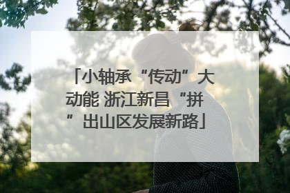 小轴承“传动”大动能 浙江新昌“拼”出山区发展新路