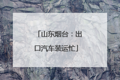 山东烟台：出口汽车装运忙