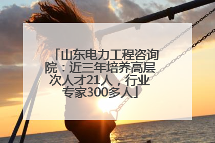 山东电力工程咨询院：近三年培养高层次人才21人，行业专家300多人