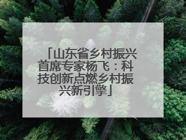山东省乡村振兴首席专家杨飞：科技创新点燃乡村振兴新引擎