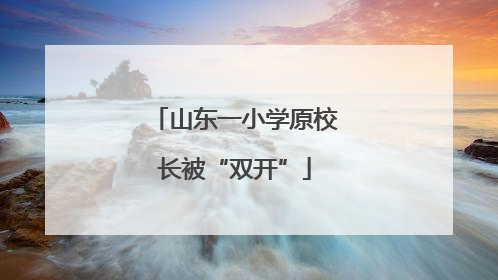 山东一小学原校长被“双开”