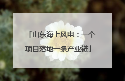 山东海上风电：一个项目落地一条产业链