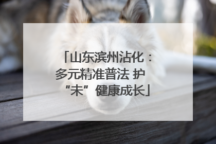 山东滨州沾化：多元精准普法 护“未”健康成长