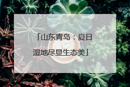 山东青岛：夏日湿地尽显生态美