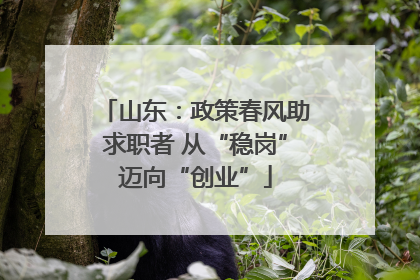山东：政策春风助求职者 从“稳岗”迈向“创业”