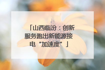 山西临汾：创新服务跑出新能源接电“加速度”