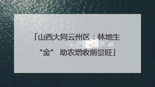 山西大同云州区：林地生“金” 助农增收前景旺