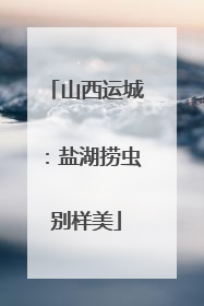 山西运城：盐湖捞虫别样美