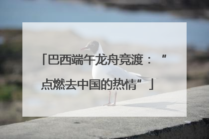 巴西端午龙舟竞渡：“点燃去中国的热情”