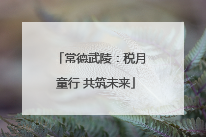 常德武陵：税月童行 共筑未来