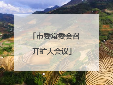 市委常委会召开扩大会议