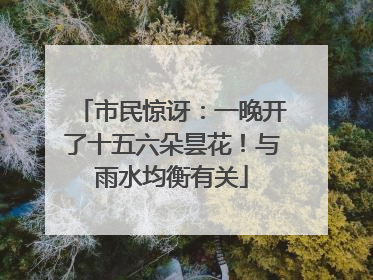 市民惊讶：一晚开了十五六朵昙花！与雨水均衡有关