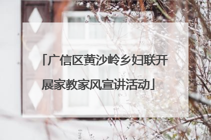 广信区黄沙岭乡妇联开展家教家风宣讲活动