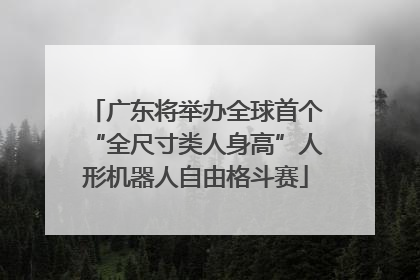 广东将举办全球首个“全尺寸类人身高”人形机器人自由格斗赛