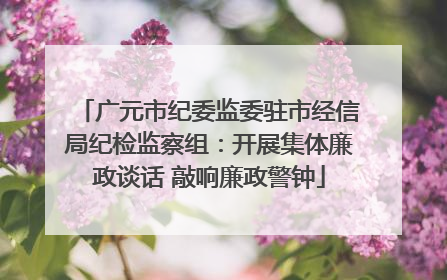 广元市纪委监委驻市经信局纪检监察组：开展集体廉政谈话 敲响廉政警钟