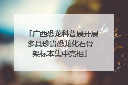 广西恐龙科普展开展 多具珍贵恐龙化石骨架标本集中亮相